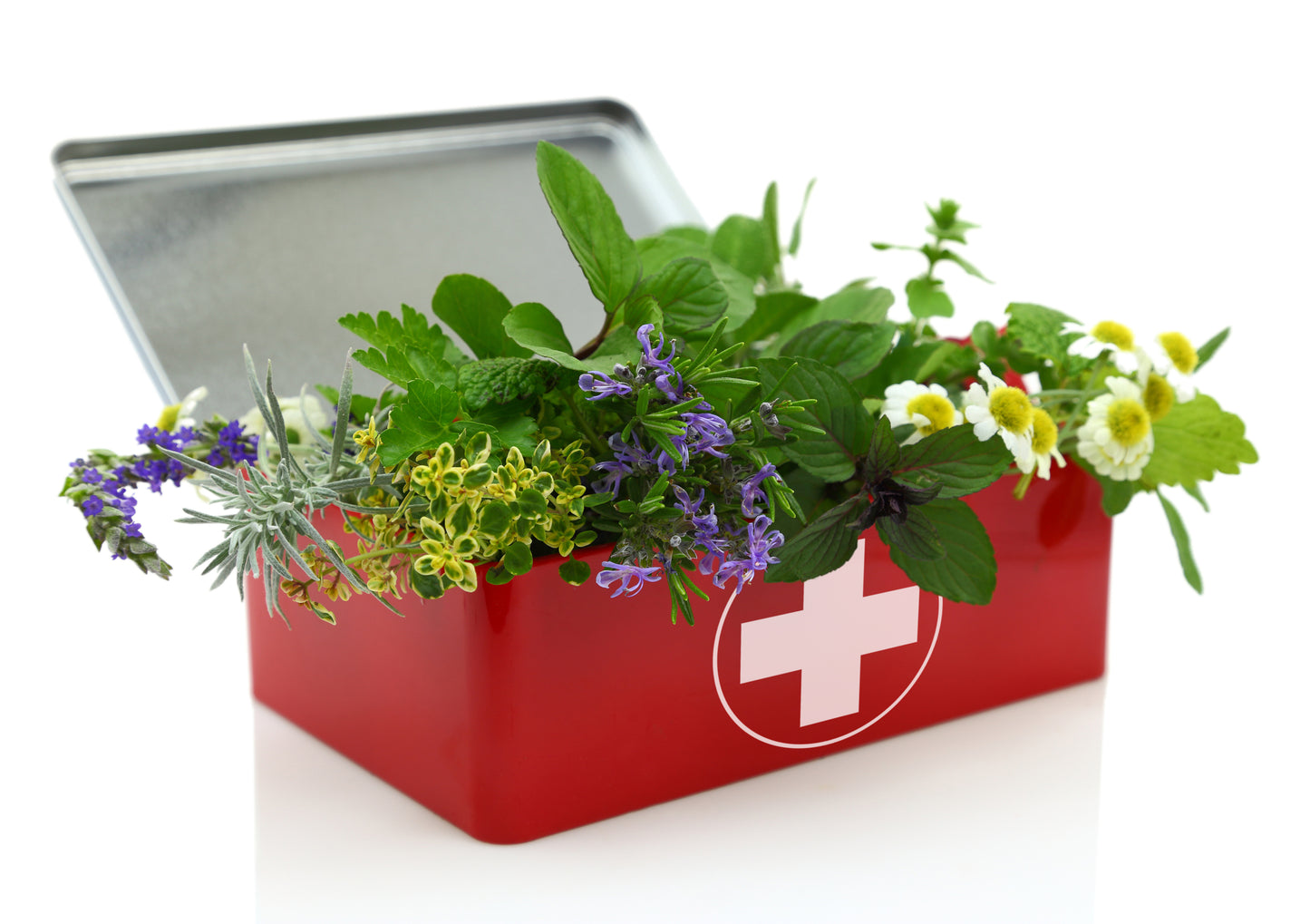 Red first aid box with a white cross symbol, filled with fresh medicinal herbs including lavender, chamomile, and mint, with an open lid in the background